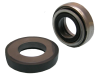 SHORT SPRING SEAL Silicon Carbide